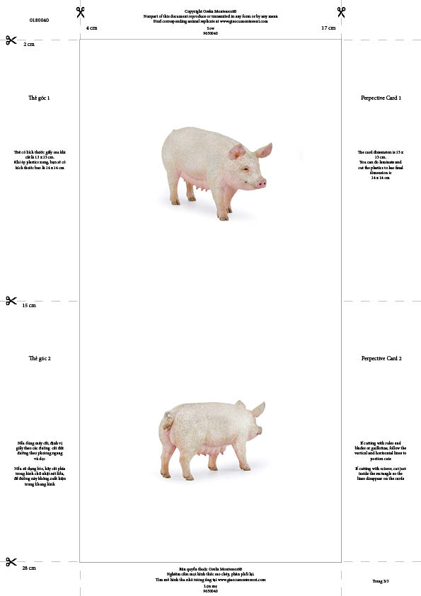 Bộ thẻ giáo cụ: Lợn mẹ (Sản phẩm số)