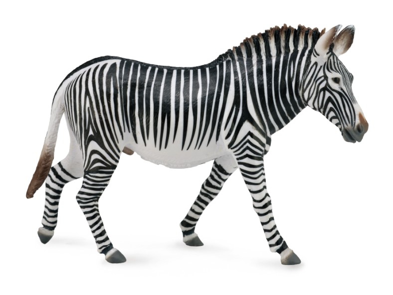 Mô hình động vật: Ngựa vằn Grévy