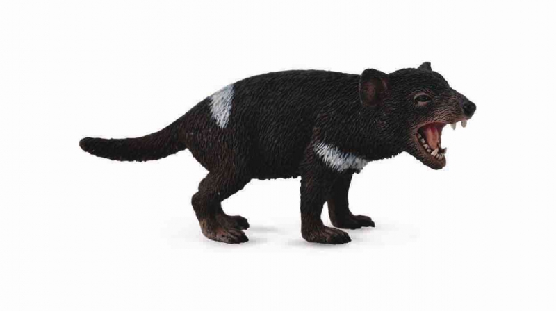 Mô hình động vật: Quỷ Tasmania