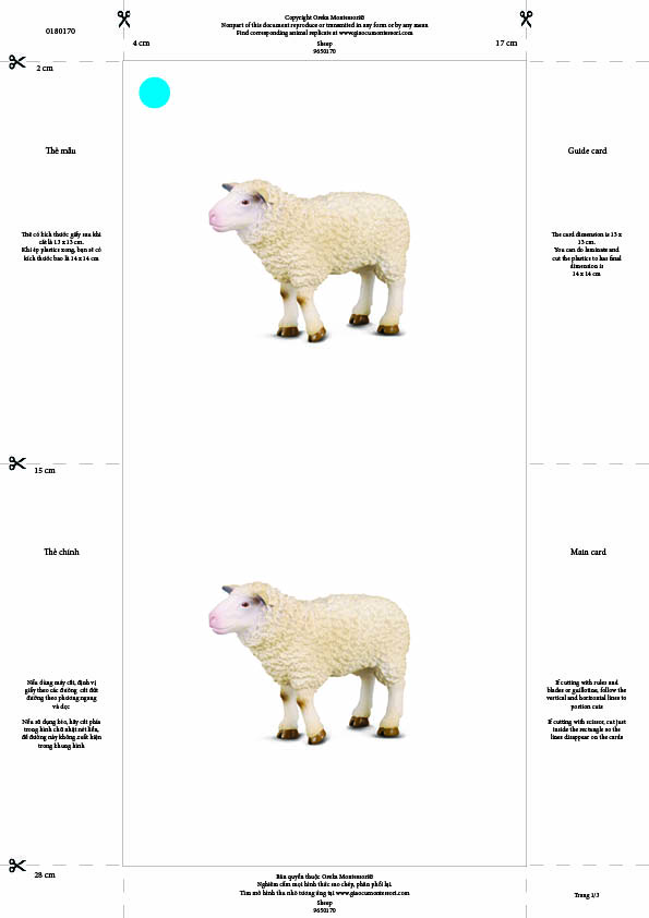 Bộ thẻ giáo cụ: Cừu mẹ (Sản phẩm số)