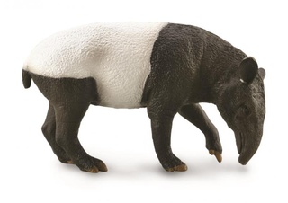 [9651810] Mô hình động vật: Lợn vòi Mã Lai