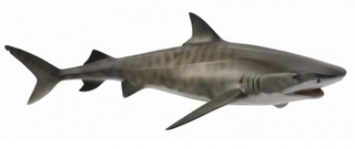 [9652180] Mô hình động vật: Cá mập hổ