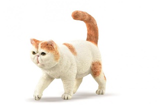 [9656150] Mô hình động vật: Mèo lông ngắn Ba Tư