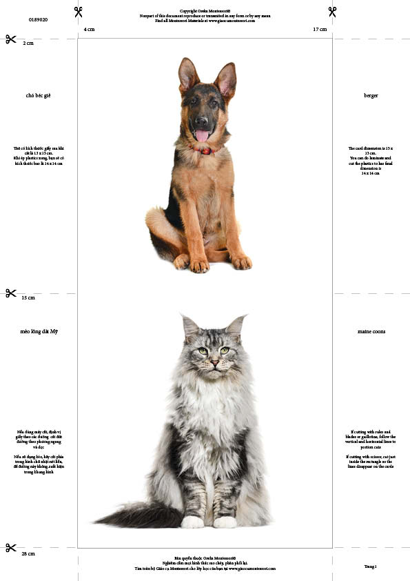 Bộ thẻ giáo cụ: Phân loại Chó - Mèo (Sản phẩm số)