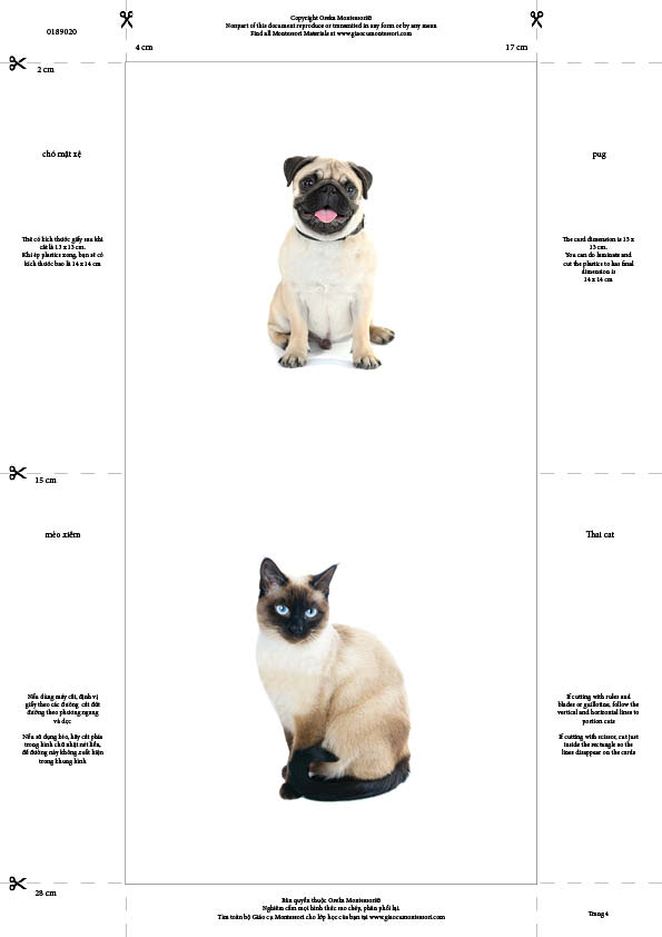 Bộ thẻ giáo cụ: Phân loại Chó - Mèo (Sản phẩm số)