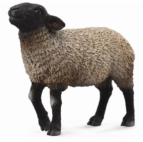 Mô hình thu nhỏ: Cừu Suffolk