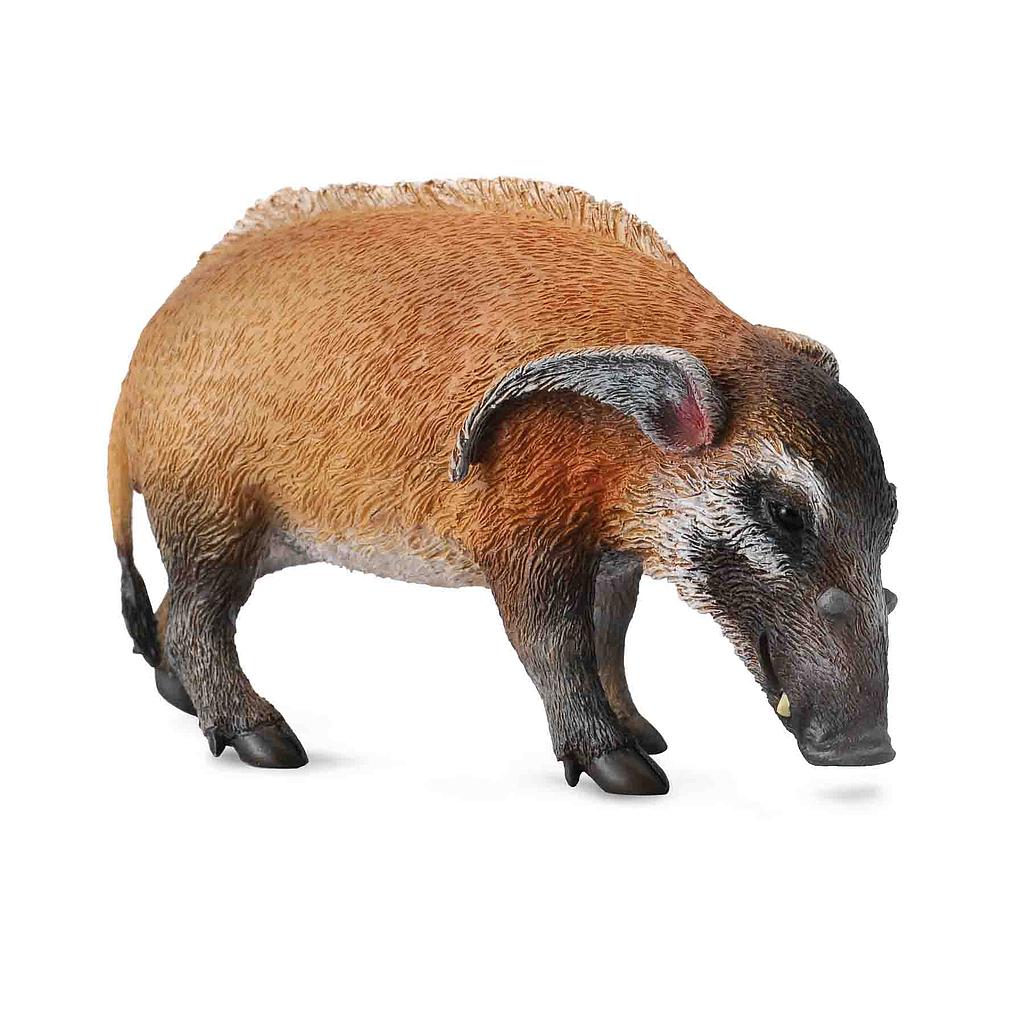 Mô hình thu nhỏ: Lợn lông đỏ
