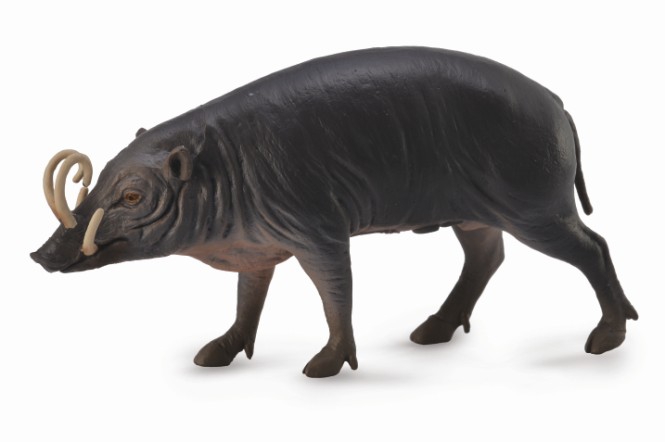 Mô hình động vật: Lợn hươu Sulawesi