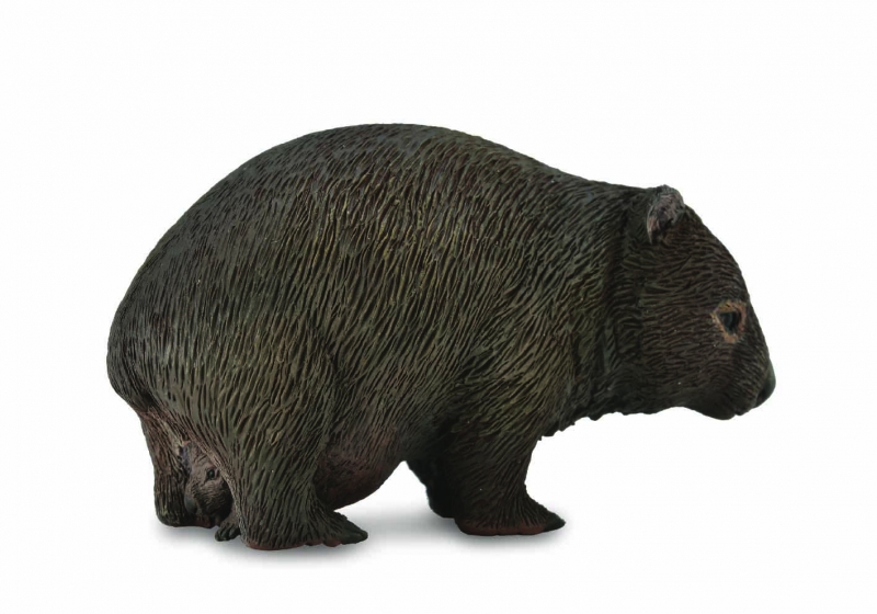 Mô hình động vật: Gấu túi mũi trần