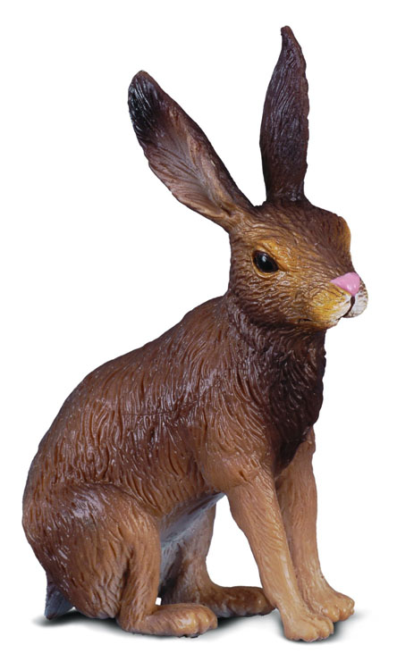 Mô hình động vật: Thỏ rừng châu Âu