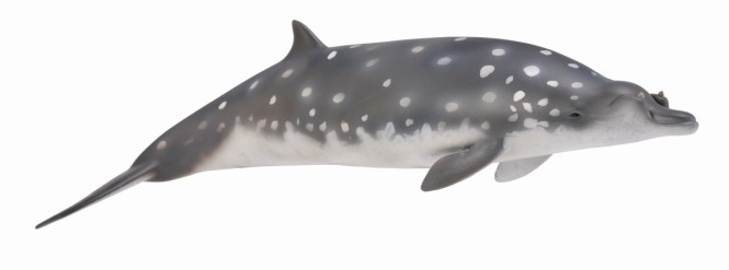 Mô hình thu nhỏ: Cá voi mõm khoằm Blainville