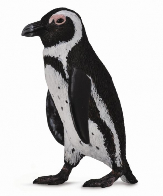 Mô hình động vật: Chim cánh cụt Nam Phi
