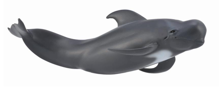 Mô hình động vật: Cá voi hoa tiêu