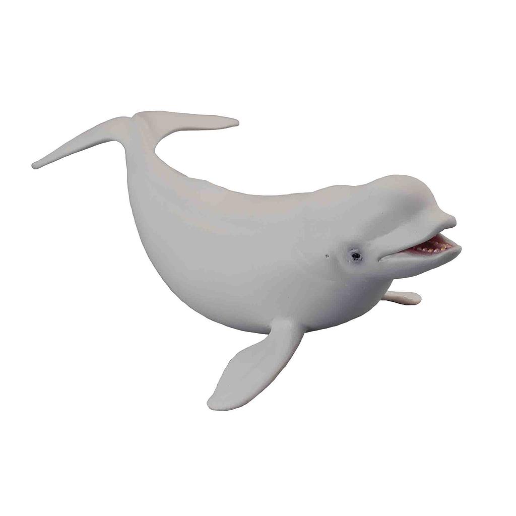 Mô hình thu nhỏ: Cá voi trắng