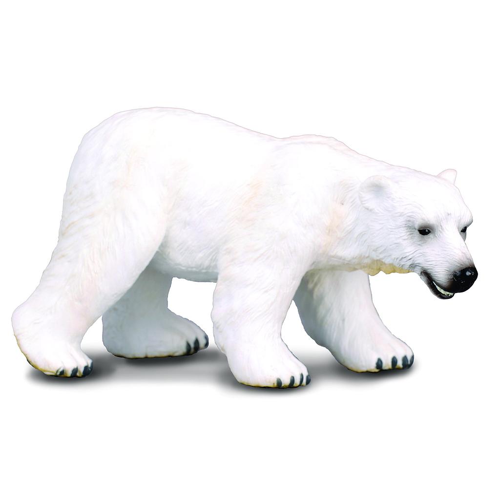 Mô hình động vật: Gấu trắng Bắc Cực