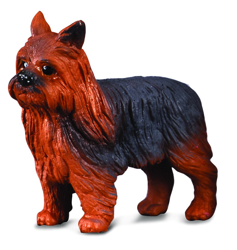 Mô hình động vật: Chó Yorkshire Terrier