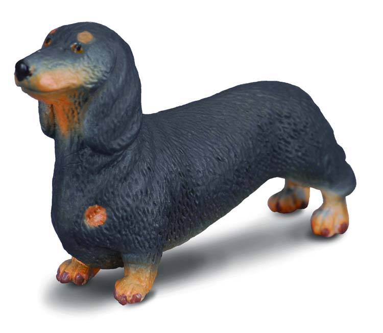 Mô hình động vật: Chó Dachshund