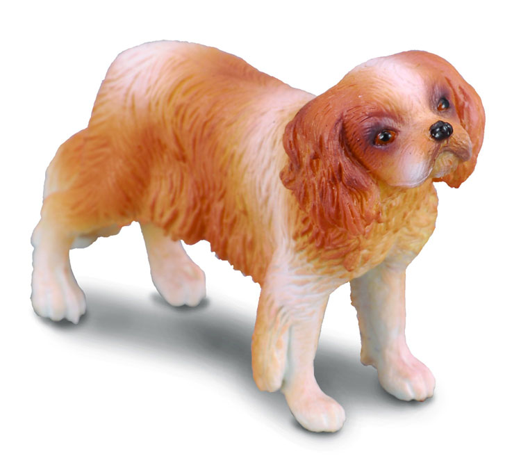 Mô hình động vật: Chó Cavalier King Charles Spaniel