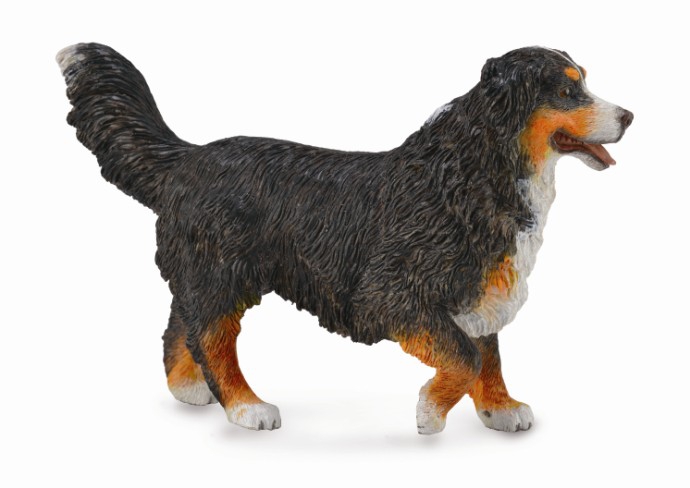 Mô hình động vật: Chó Bernese Mountain