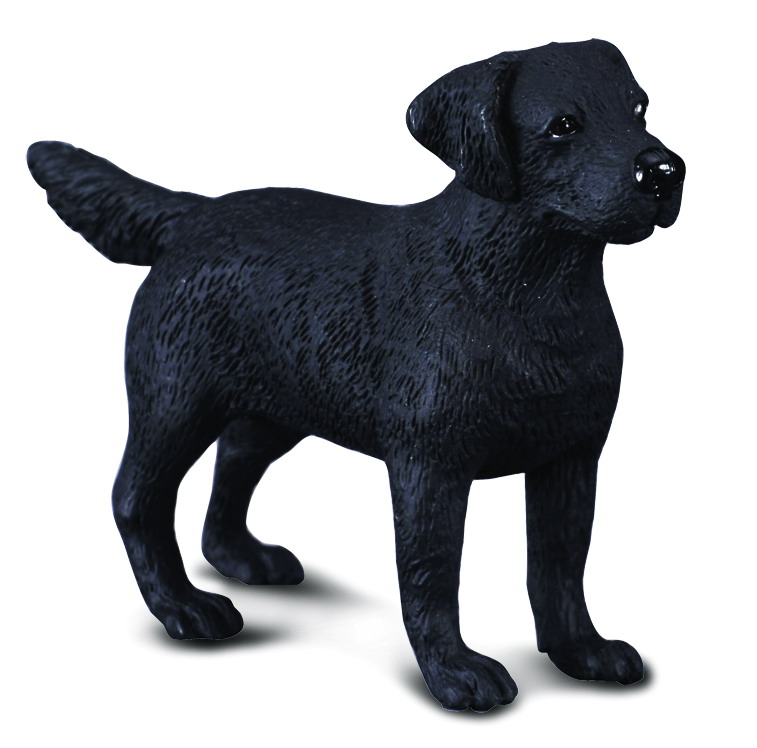 Mô hình động vật: Chó Labrador Retriever
