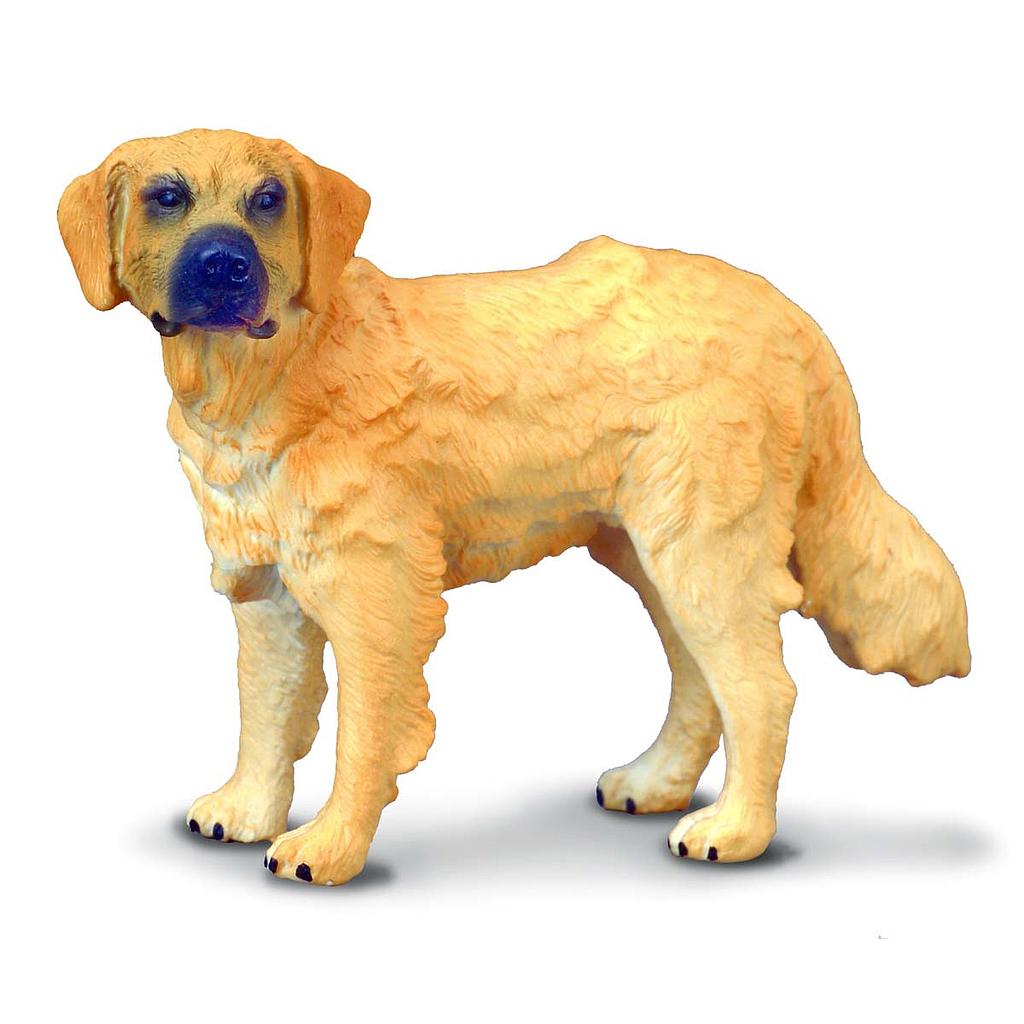 Mô hình động vật: Chó Golden Retriever