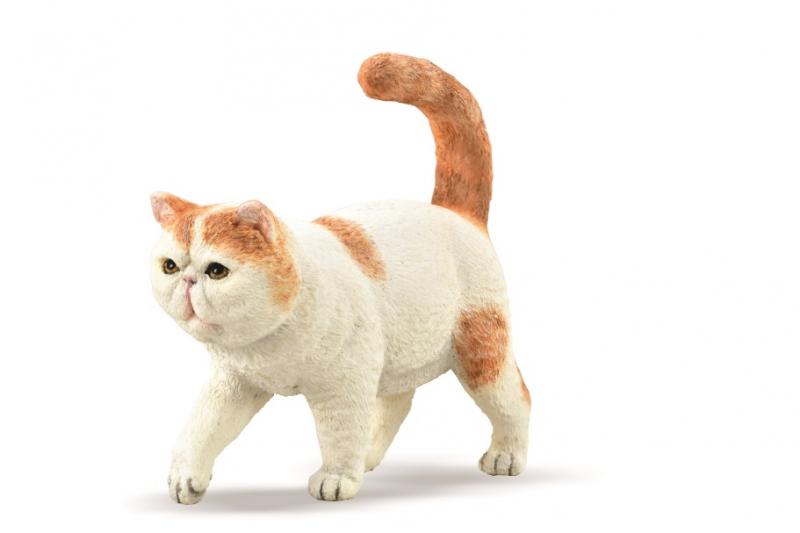 Mô hình động vật: Mèo lông ngắn Ba Tư