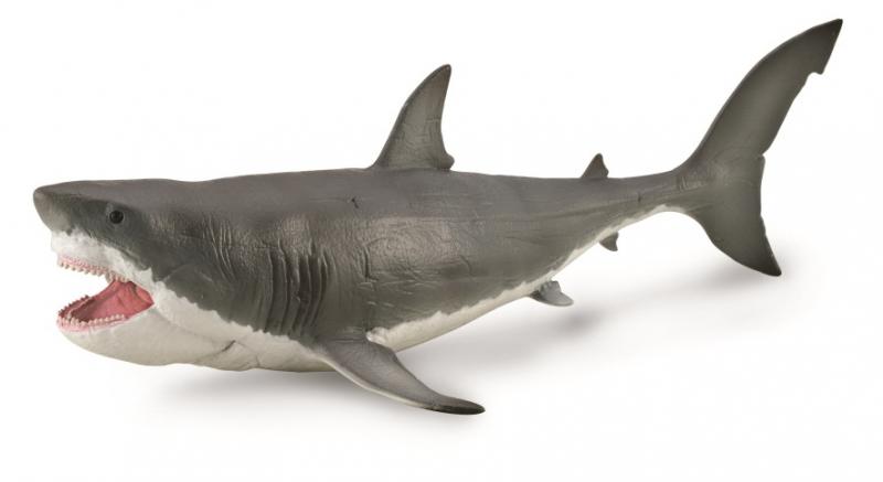 Mô hình động vật: Tiền sử Megalodon - Tỉ lệ 1:60