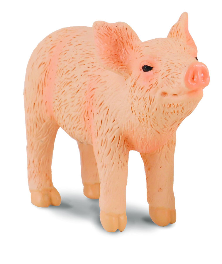 Mô hình thu nhỏ: Lợn con - Ngửi