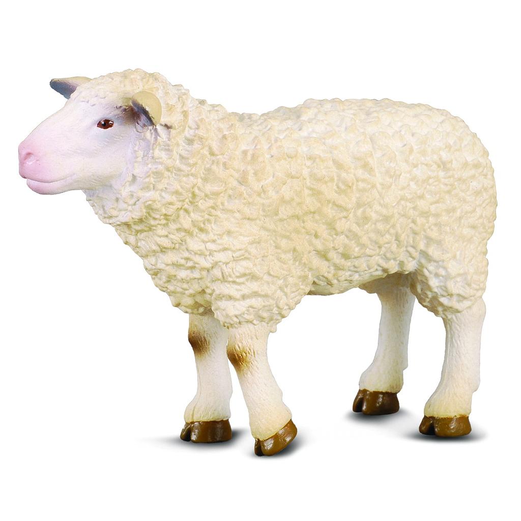 Mô hình động vật: Cừu mẹ