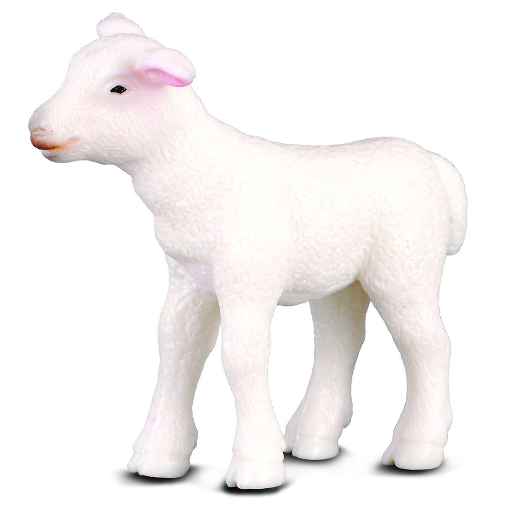 Mô hình thu nhỏ: Cừu con