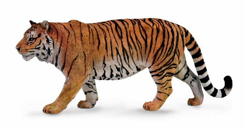 Mô hình động vật: Hổ