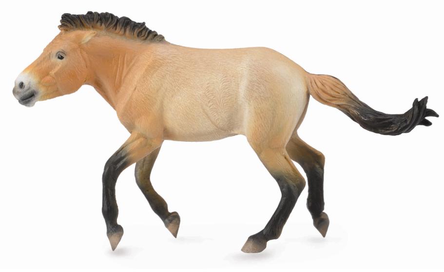 Mô hình thu nhỏ: Ngựa Hoang Mông Cổ