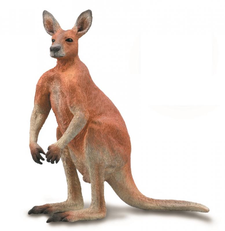 Mô hình động vật: Kangaroo đỏ bố