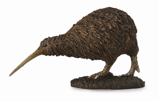 Mô hình động vật: Kiwi