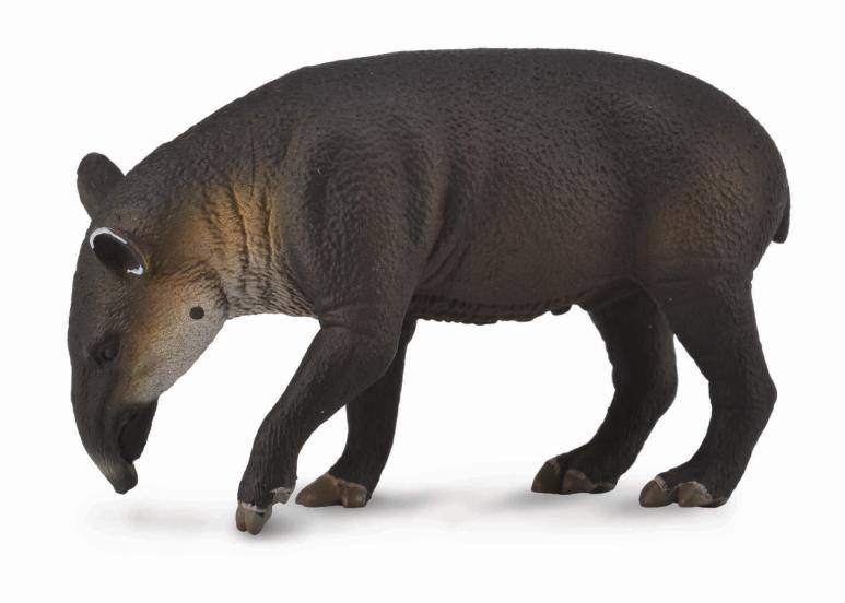 Mô hình động vật: Lợn Vòi Baird