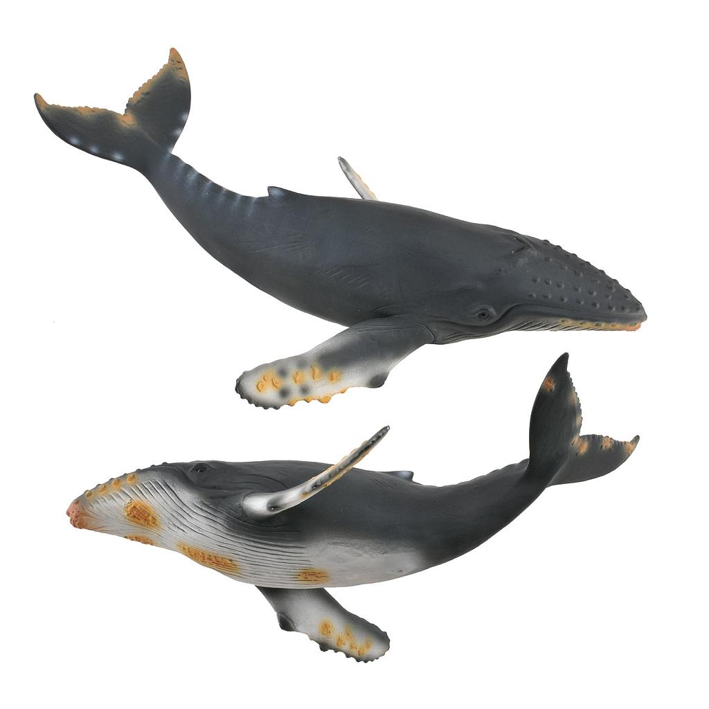 Mô hình động vật: Cá Voi Lưng Gù