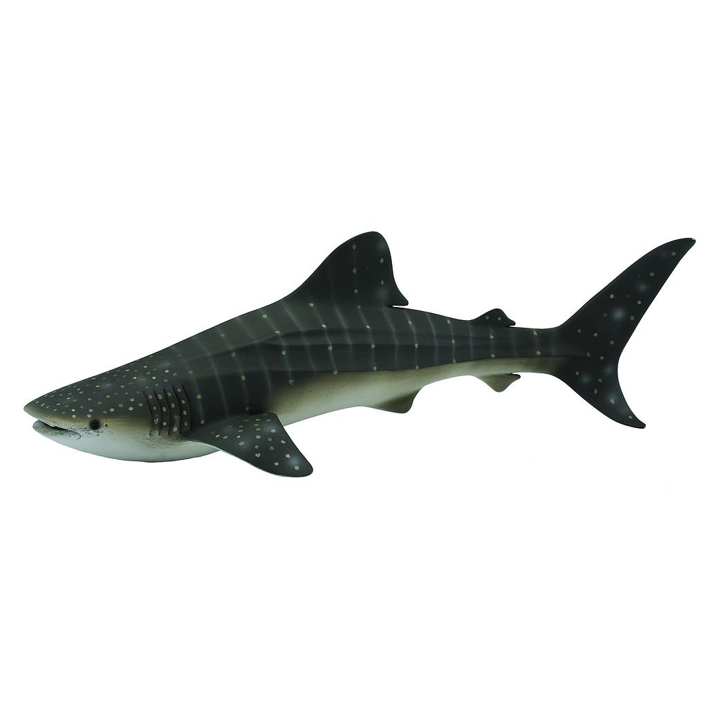 Mô hình động vật: Cá Mập Voi