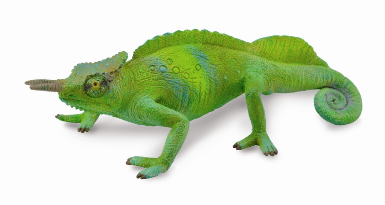 Mô hình động vật: Tắc Kè Cameroon Sailfin