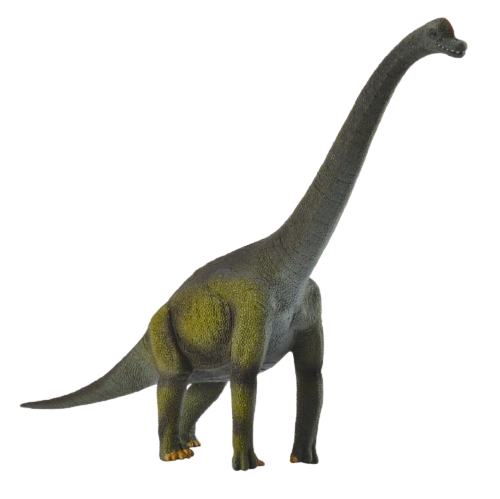 Mô hình thu nhỏ: Khủng Long Brachiosaurus 