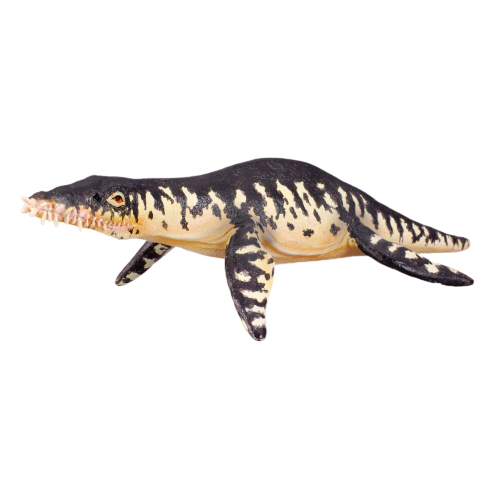Mô hình động vật: Khủng Long Liopleurodon 