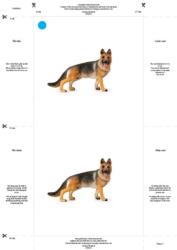 Bộ thẻ giáo cụ: Chó Shepherd (Sản phẩm số)