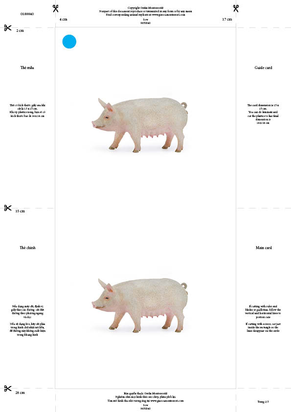 Bộ thẻ giáo cụ: Lợn mẹ (Sản phẩm số)