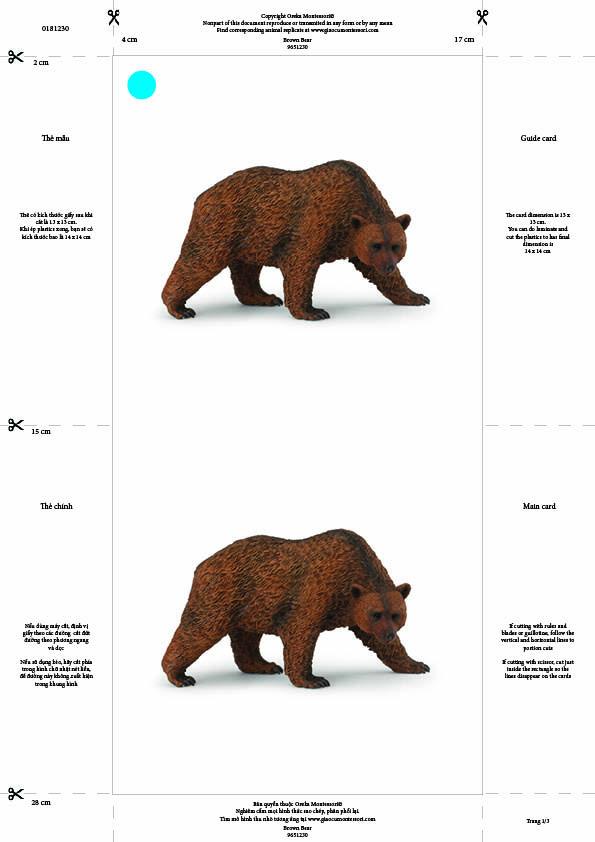 Bộ thẻ giáo cụ: Gấu Nâu (Sản phẩm số)