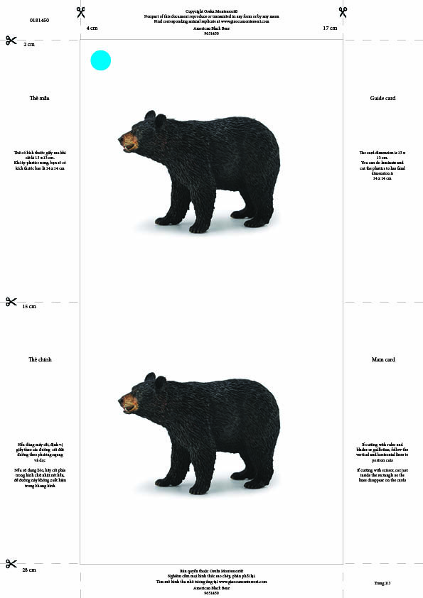Bộ thẻ giáo cụ: Gấu Đen (Sản phẩm số)