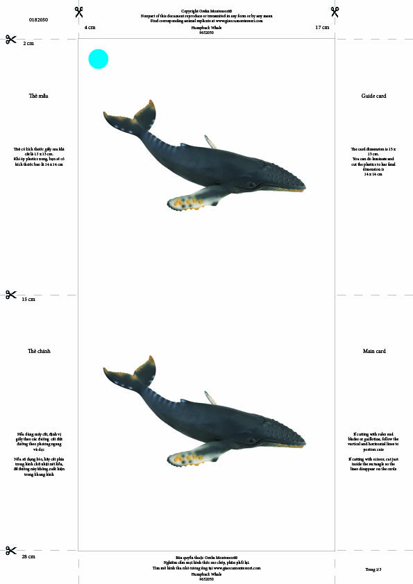 Bộ thẻ giáo cụ: Cá Voi Lưng Gù (Sản phẩm số)