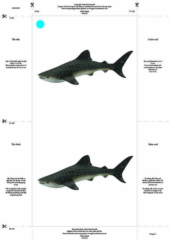 Bộ thẻ giáo cụ: Cá Mập Voi (Sản phẩm số)