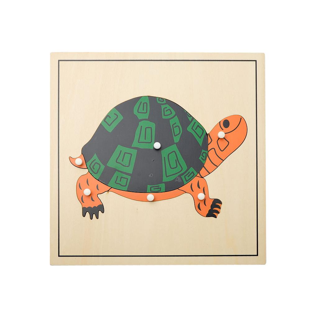 Ghép hình động vật: Rùa