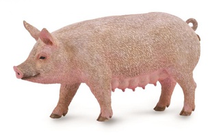 [9650040] Mô hình động vật: Lợn mẹ