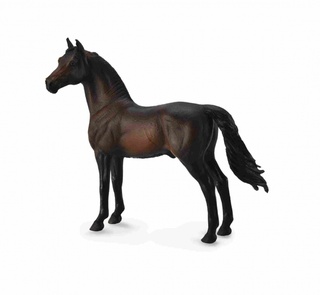 [9650080] Mô hình động vật: Ngựa Morgan