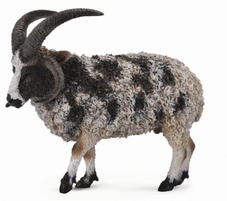 [9650160] Mô hình động vật: Cừu Jacob bố